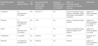 The auditory efferent system in mosquitoes